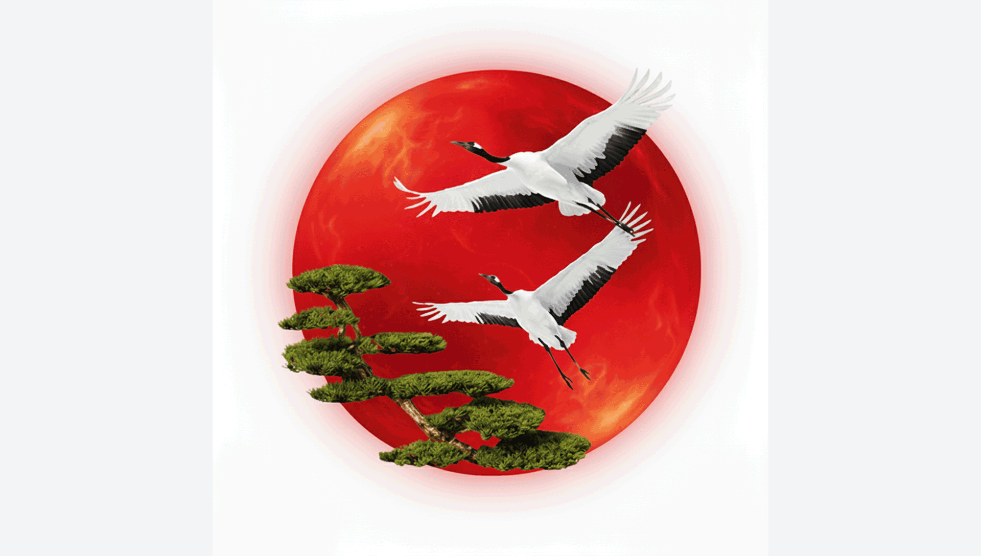 Dojo Shugyō Aïkido — Pratiquants sur le tatami